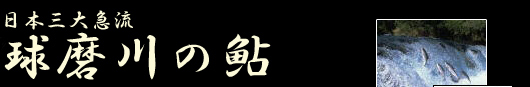 ̈