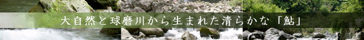 清らかな鮎